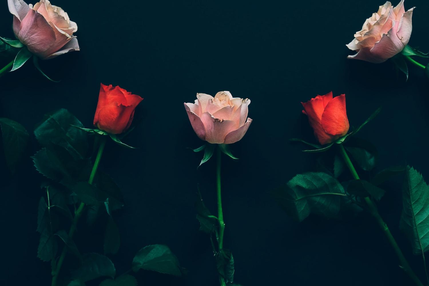 page background