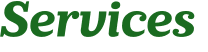 Services 