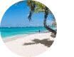 Ann Maccagnano's picture
