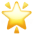 🌟 