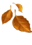 🍂