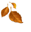 🍂 