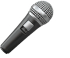 🎤 