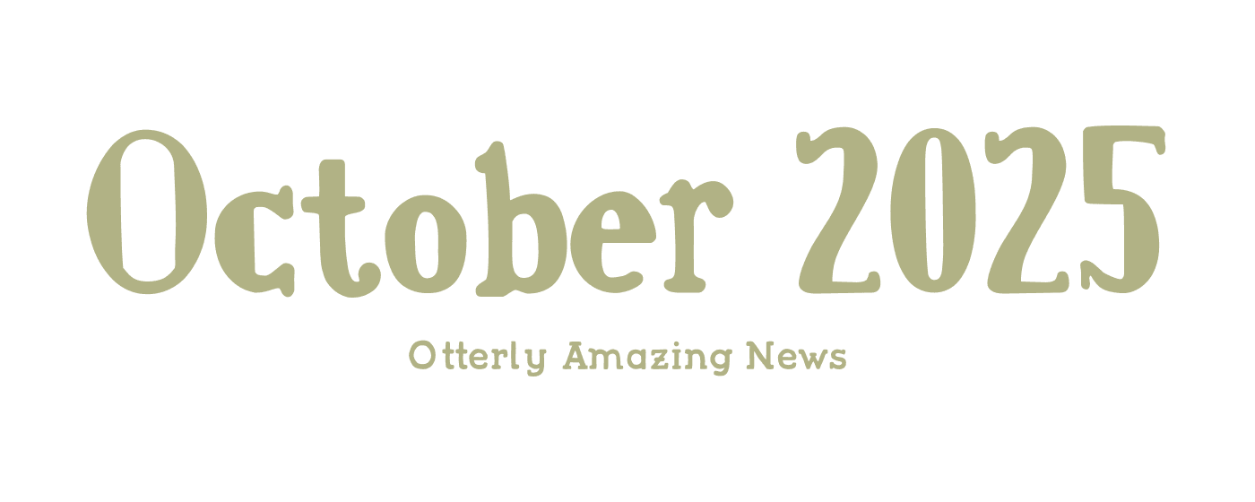 October 2025