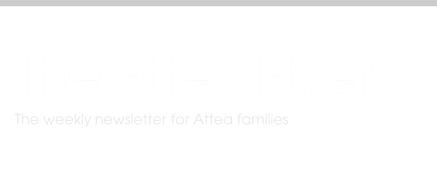 The Attea Flyer