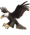 🦅