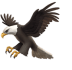 🦅 