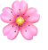 🌸 