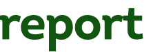 report 