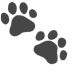 🐾 