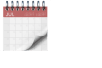 🗓️