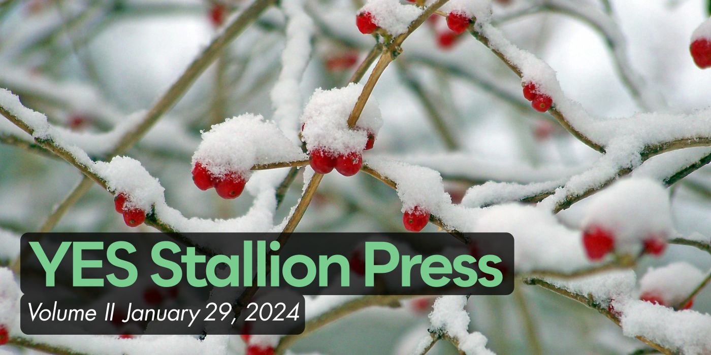 YES Stallion Press Volume II January 29, 2024