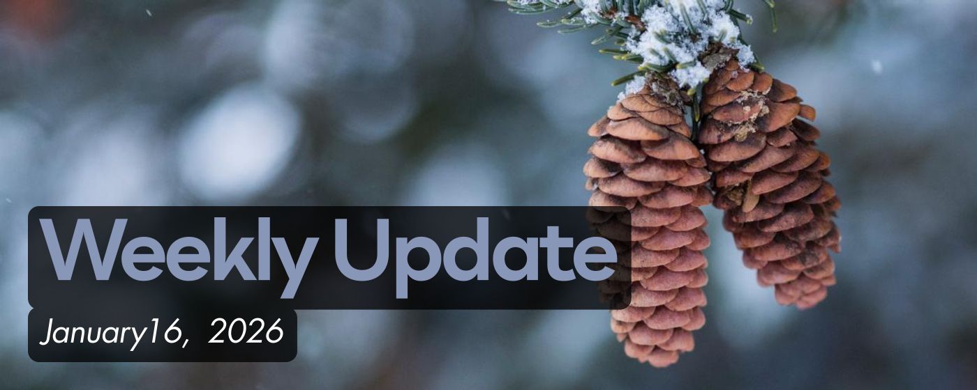 Weekly Update