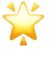 🌟 
