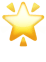 🌟