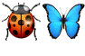 🐞🦋