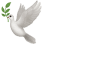 🕊️