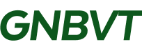 GNBVT