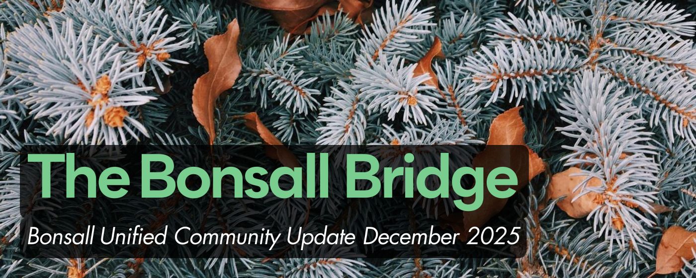 The Bonsall Bridge