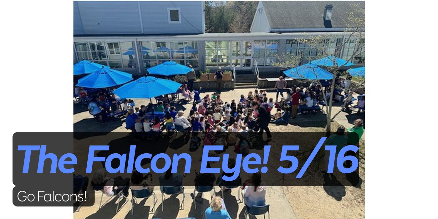 The Falcon Eye! 5/16 Go Falcons!