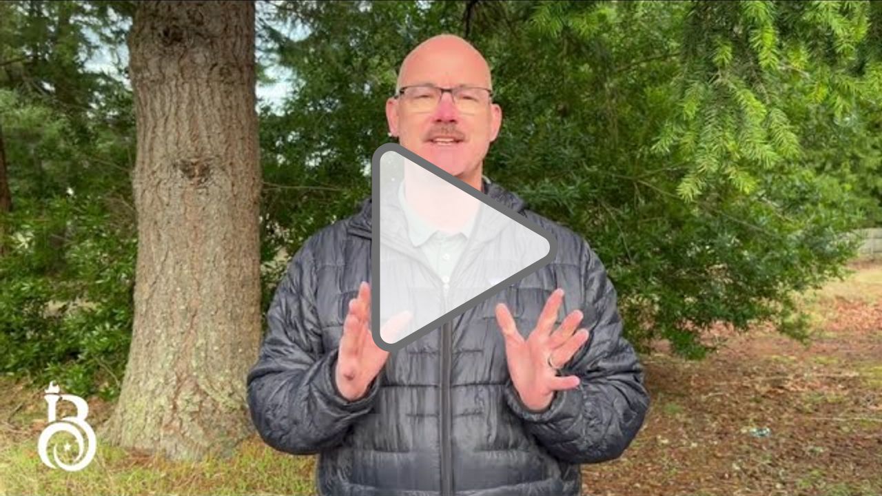 Click to play: Happy New Year and welcome back from Dr  Slade McSheehy!