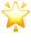 🌟