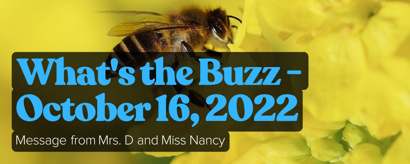 What's the Buzz - October 16, 2022