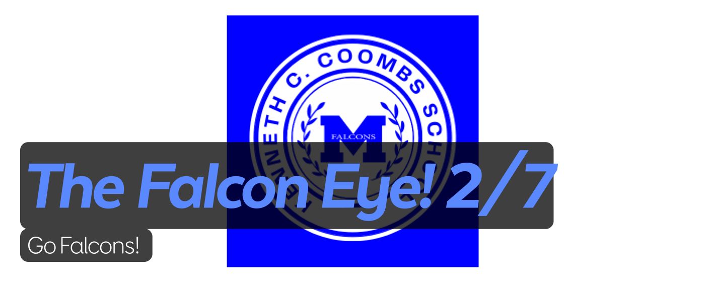 The Falcon Eye! 2/7 Go Falcons!