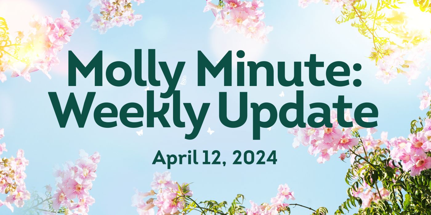 Molly Minute: Weekly Update April 12, 2024
