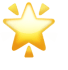 🌟 
