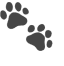 🐾 