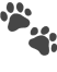 🐾