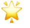🌟 