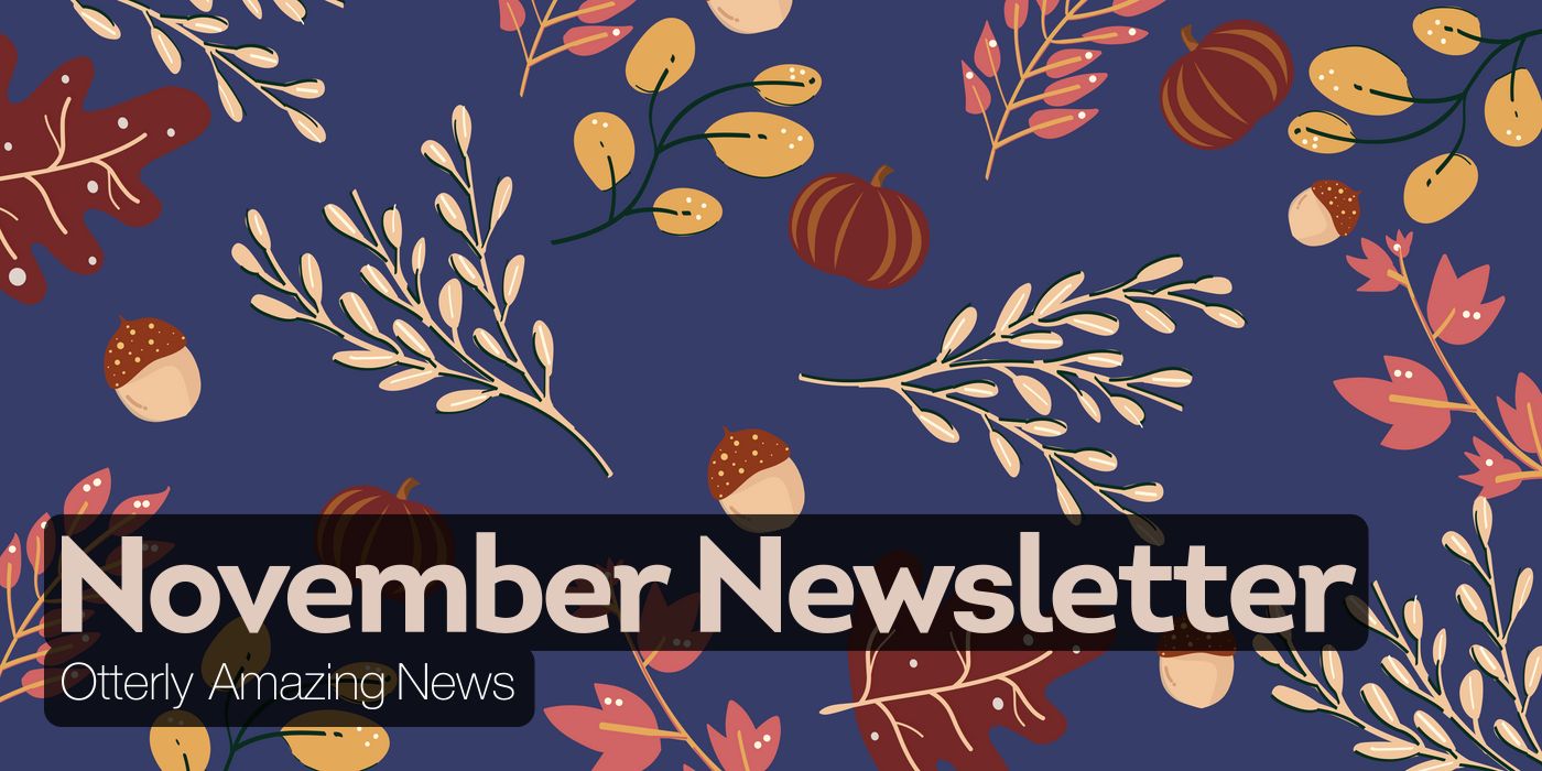 November Newsletter Otterly Amazing News