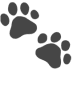 🐾 