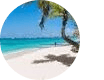 Ann Maccagnano's picture
