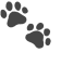 🐾 