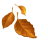 🍂 