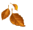 🍂 