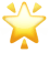 🌟