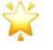 🌟 