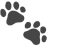 🐾 