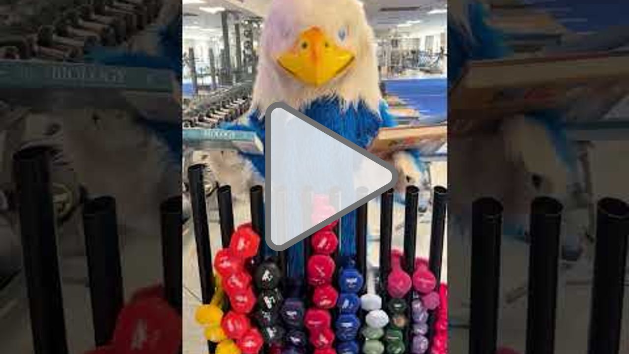 Click to play: FRamingham High FEST 2026