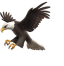🦅
