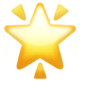 🌟 