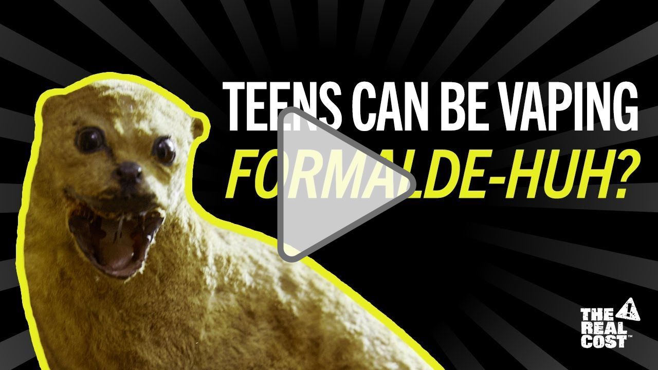 Click to play: Take it from a taxidermied critter: Vaping formaldehyde is no good | The Real Cost