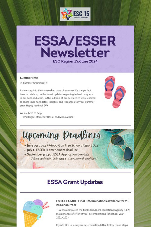 ESSA/ESSER Newsletter