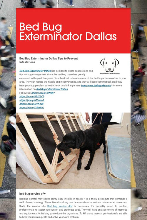 Bed Bug Exterminator Dallas
