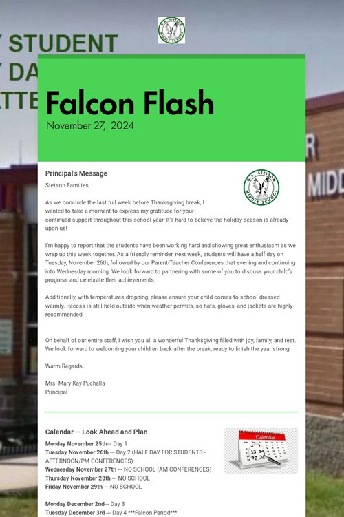 Falcon Flash