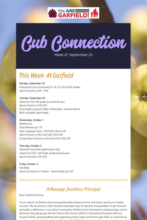 Cub Connection